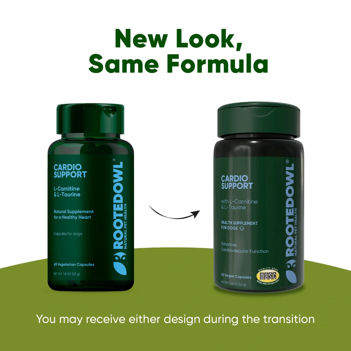 L-Carnitine & L-Taurine Supplement for Dogs
