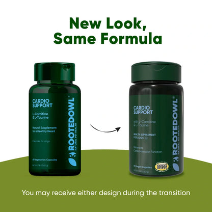 L-Carnitine & L-Taurine Supplement for Dogs