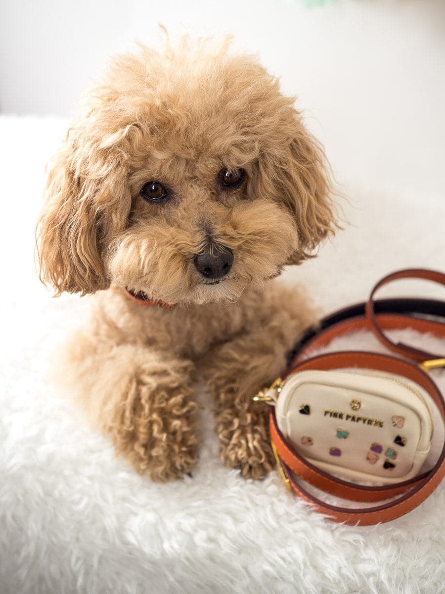 Ainsley dog leash — additional photo 3