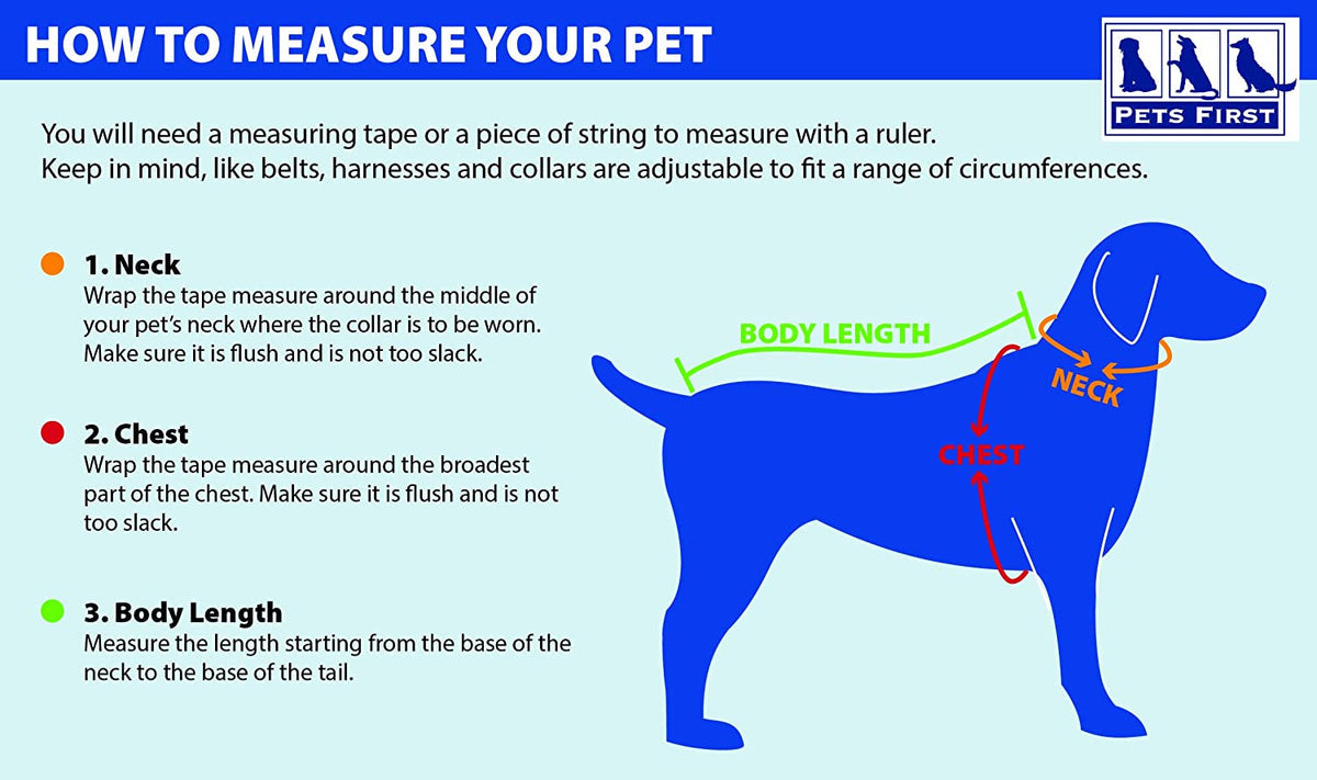 How to measure your pet for a sweater: neck, chest, body length
