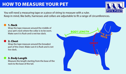 How to measure your pet for a sweater: neck, chest, body length