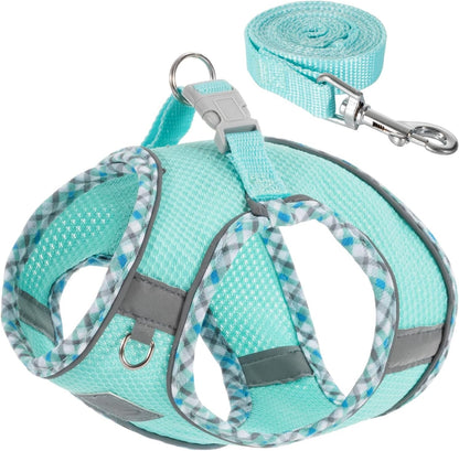 Step-In No-Pull Dog Harness and Leash Set for Small Dogs