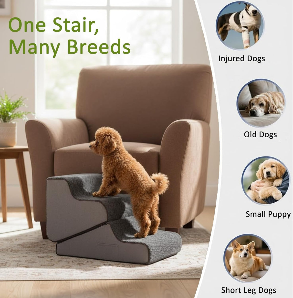 2-in-1 Dog Ramp and Steps for Beds and Sofas