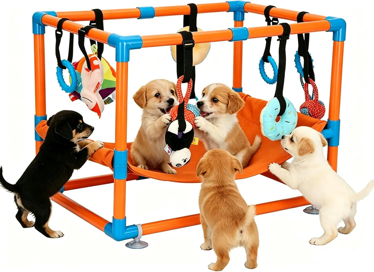 Indoor Puppy Play Gym with Hammock and 8 Toys