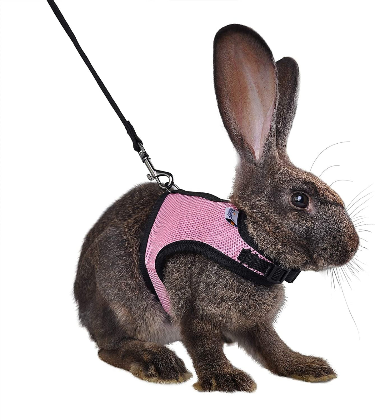 Adjustable Soft Rabbit Harness with Elastic Leash, Medium