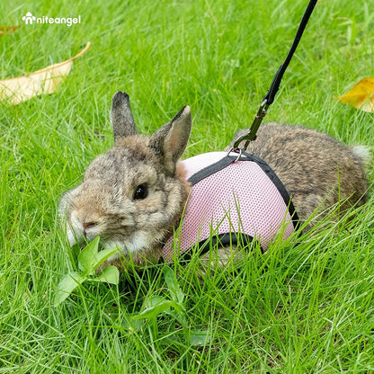 Adjustable Soft Rabbit Harness with Elastic Leash, Medium