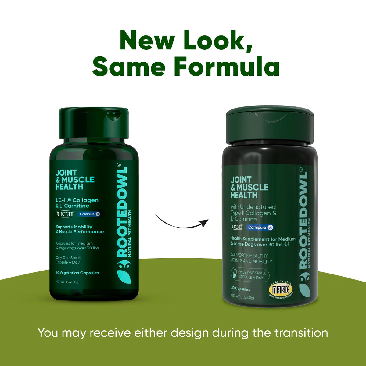 UC-II & L-Carnitine Capsules for Medium and Large Dogs