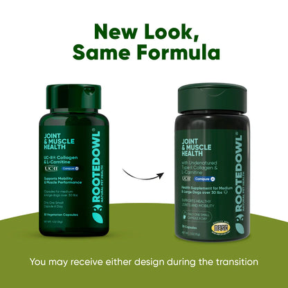 UC-II & L-Carnitine Capsules for Medium and Large Dogs