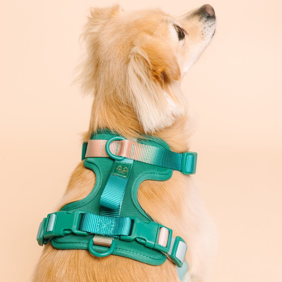 Parker dog harness — additional photo 5