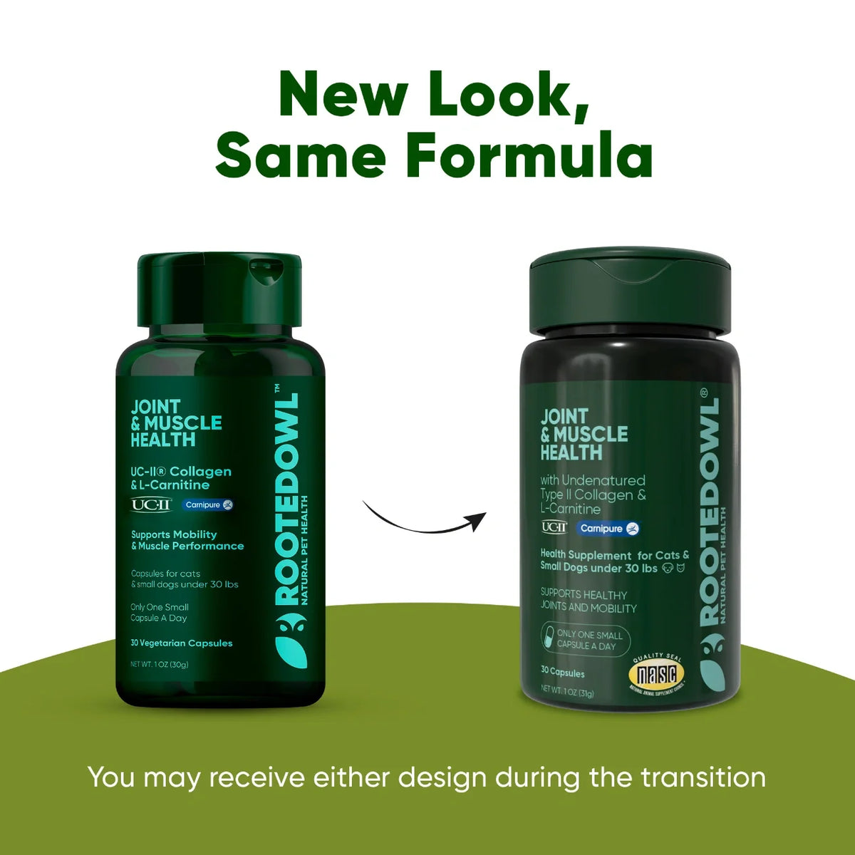 UC-II & L-Carnitine Capsules for Cats and Small Dogs