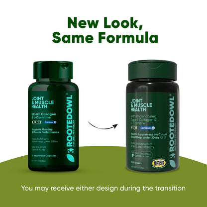 UC-II & L-Carnitine Capsules for Cats and Small Dogs