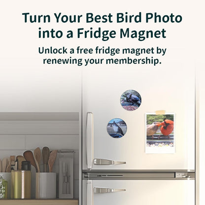 Promotional image of a bird photo fridge magnet