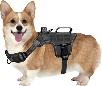 Heavy-Duty MOLLE Tactical Dog Harness, Medium to XL