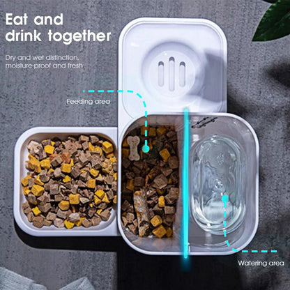 2-in-1 Automatic Pet Feeder and Water Dispenser