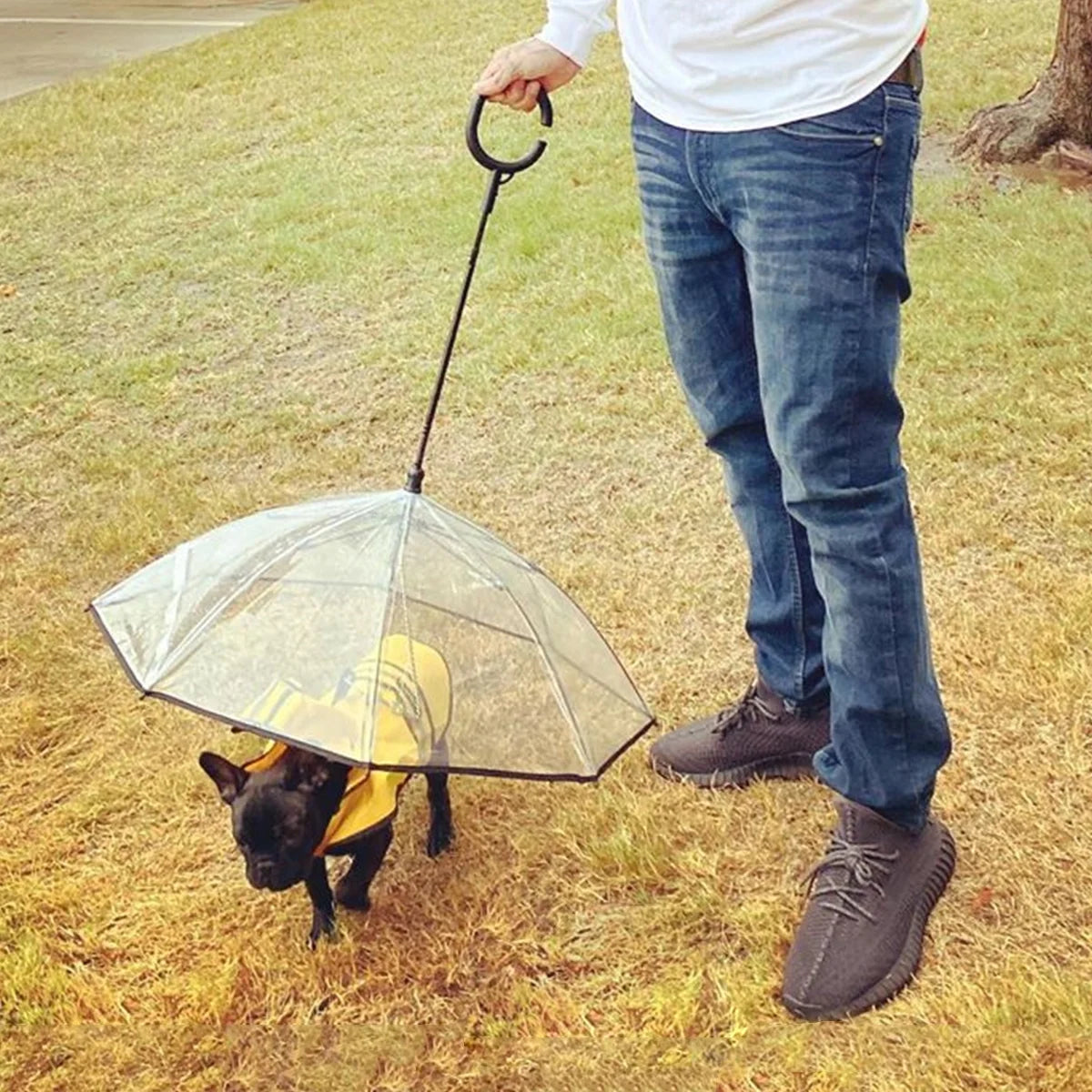 Dog Umbrella with Flexible Handle and Lead