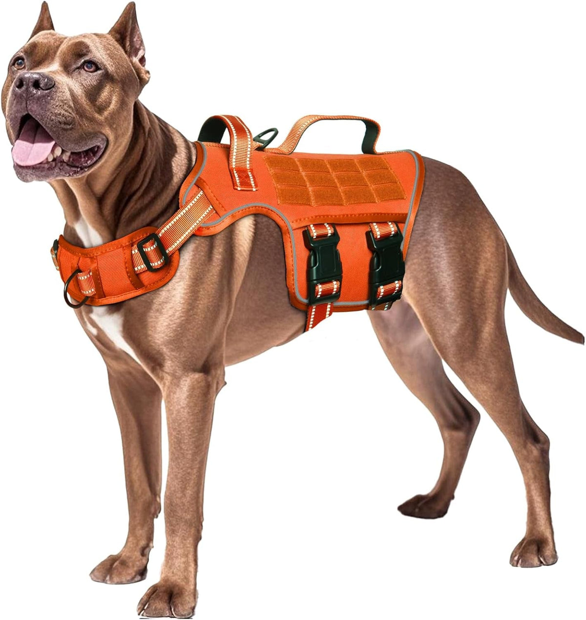 Heavy-Duty MOLLE Tactical Dog Harness, Medium to XL