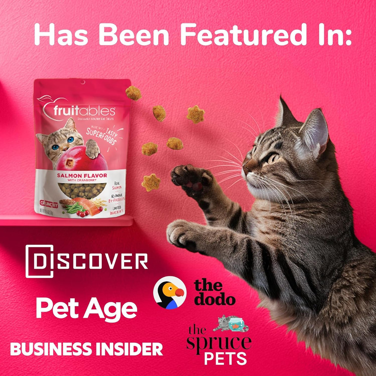 Crunchy Cat Treats Made with Salmon