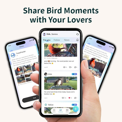 Sharing bird photos and videos in the feeder app