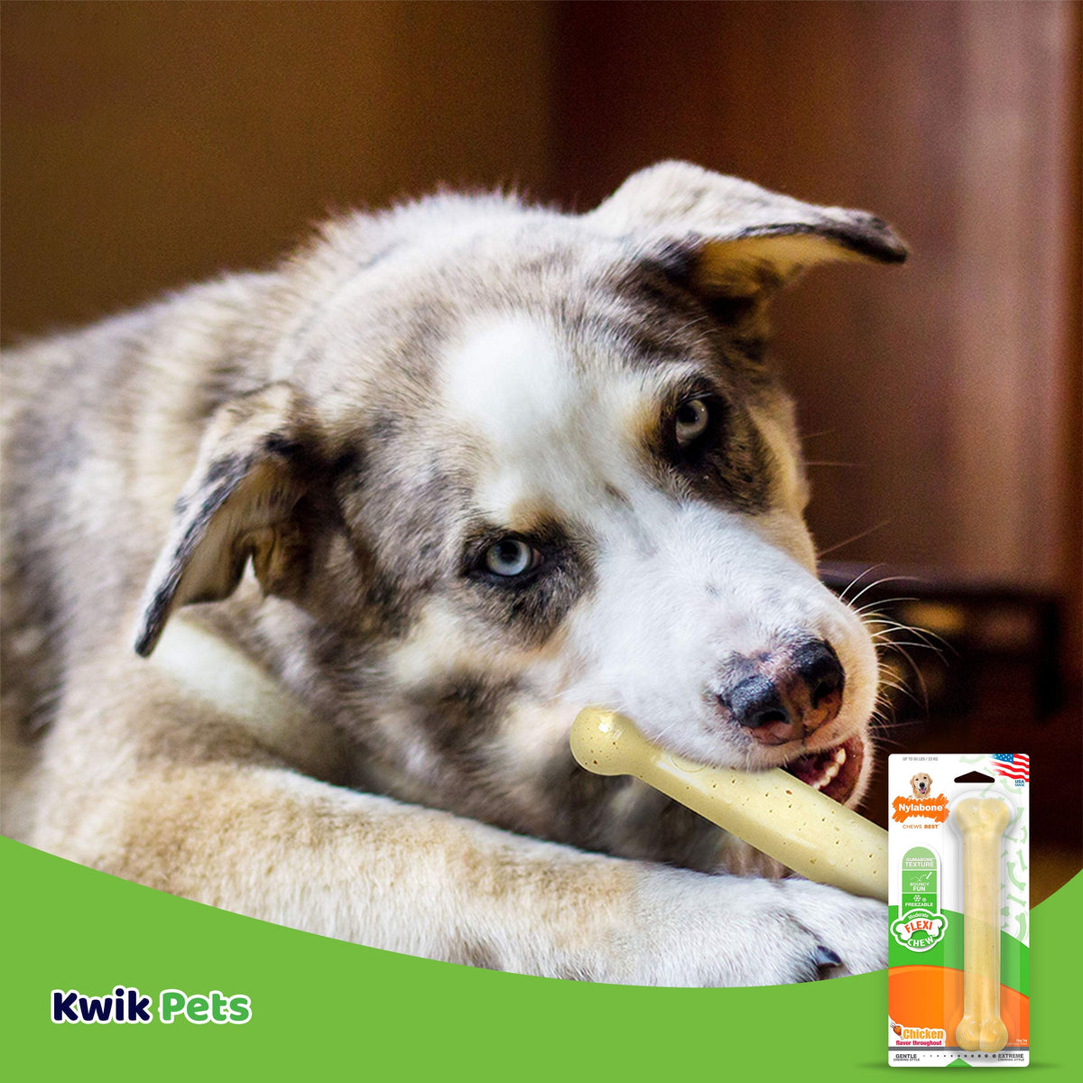 Flexichew Dental Bone, Giant, Chicken Flavor