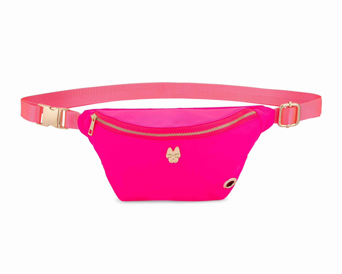 Addison – Hands-Free Dog Walking Belt Bag, Nylon