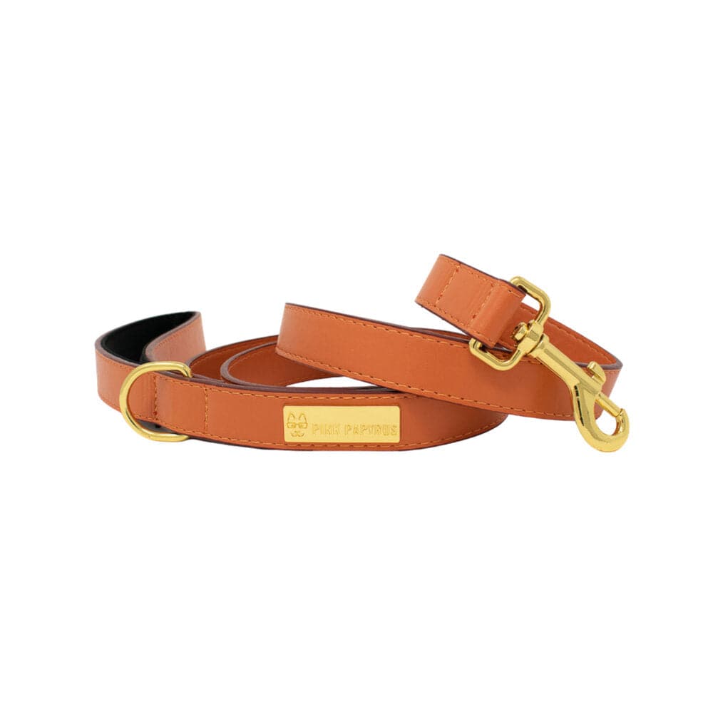 Ainsley – Vegan Leather Dog Leash 4ft & 6ft, Padded Handle