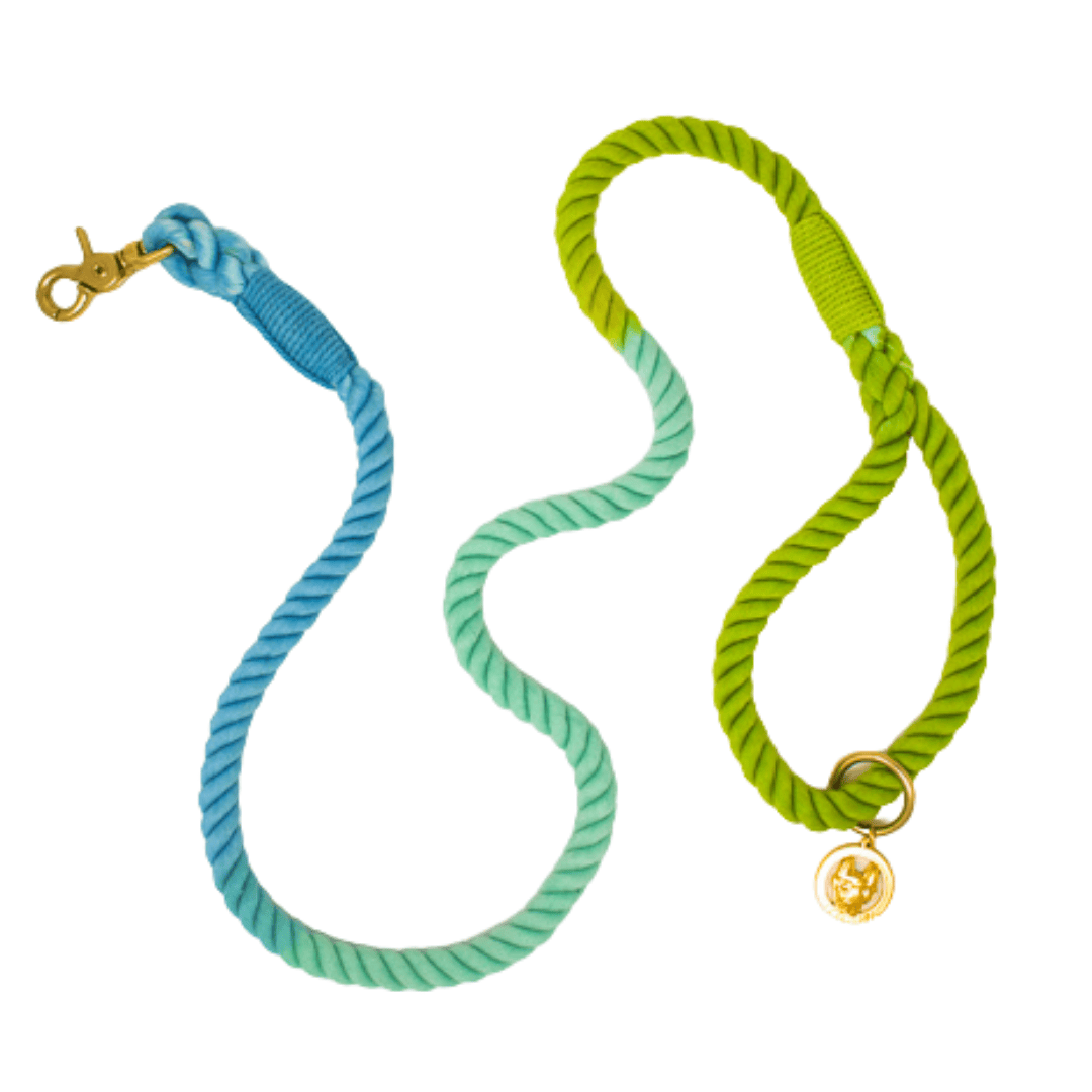 Alexandria – Organic Cotton Rope Dog Leash, Green