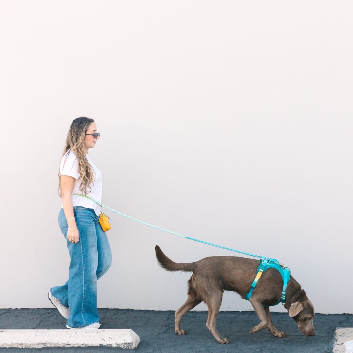 Alexandria hands-free dog leash — additional photo 8