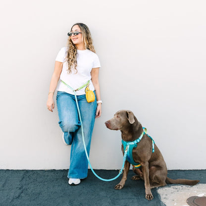 Alexandria hands-free dog leash — additional photo 9