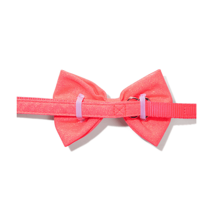 Ambrose dog bow tie — additional photo 2