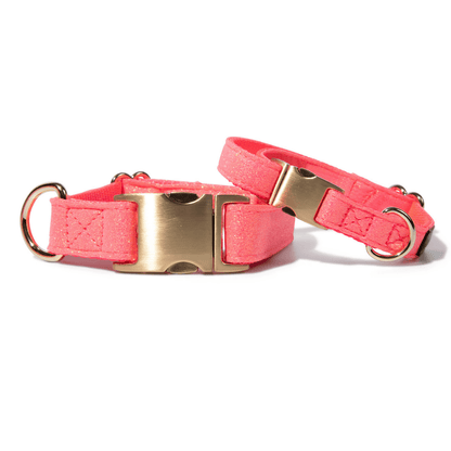 Ambrose – Glitter Dog Collar, Adjustable XS–L