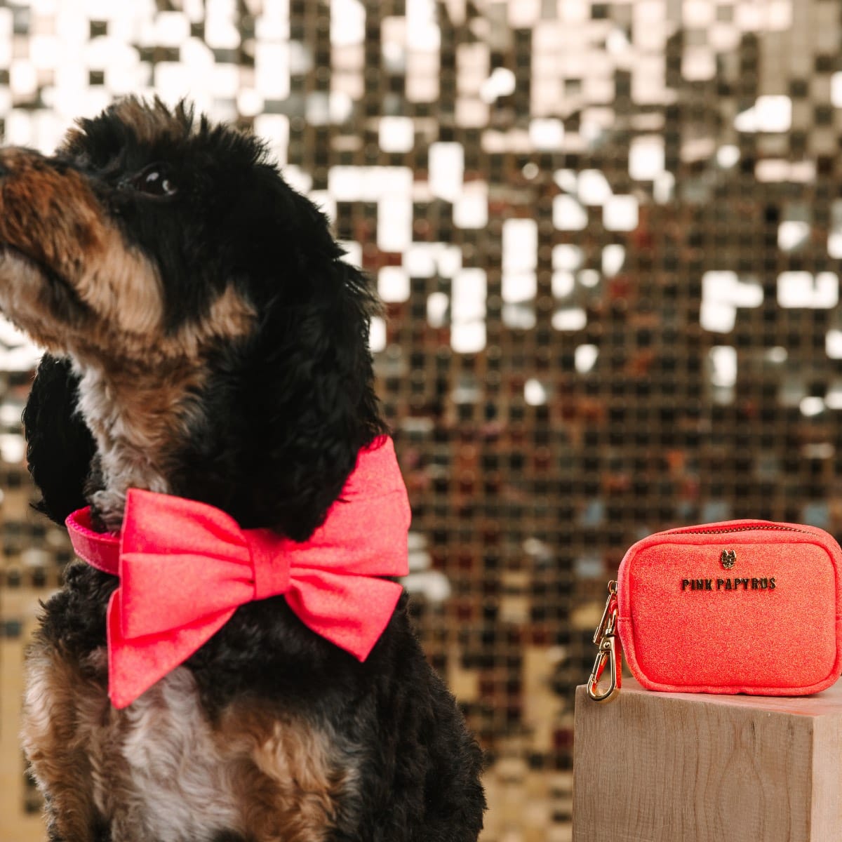 Ambrose treat pouch and poop bag holder — additional photo 5