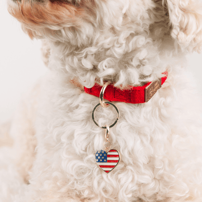 American Heart Dog Collar Charm — additional photo 3