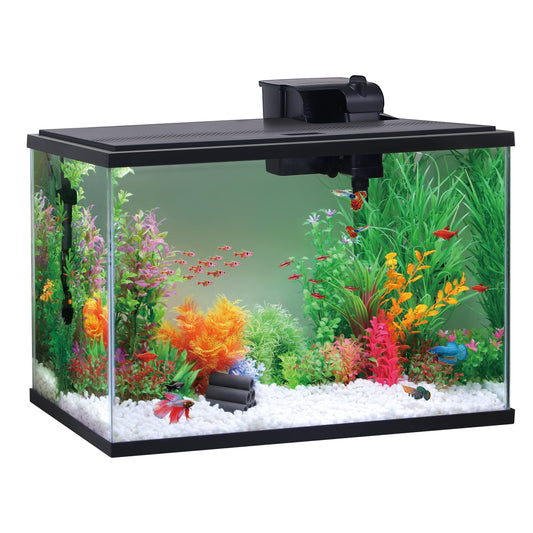 29 Gallon Glass Aquarium Starter Kit, Black