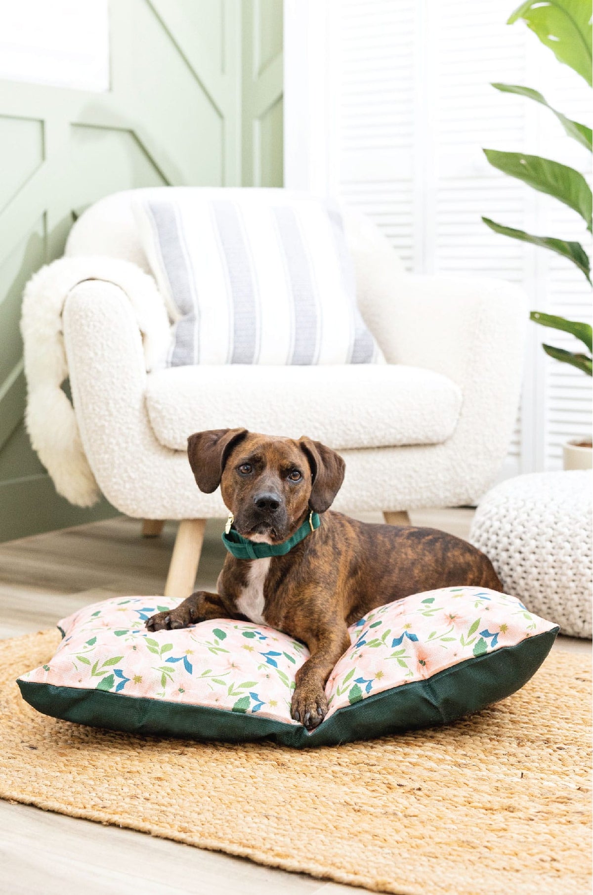 Astrid dog bed — additional photo 3