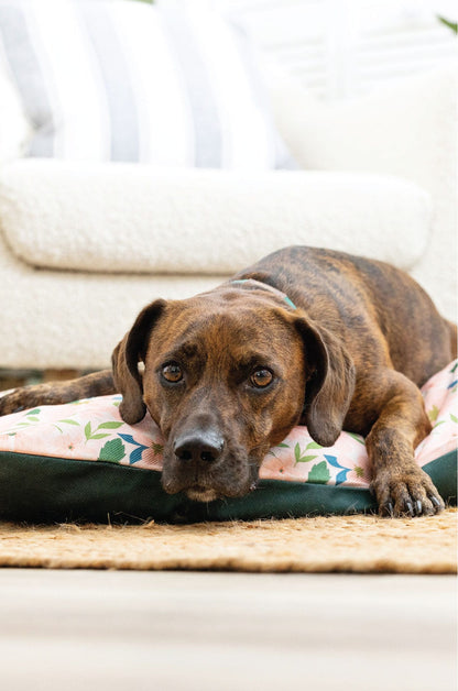 Astrid dog bed — additional photo 4