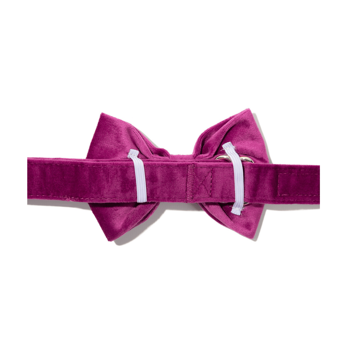 August dog bow tie — additional photo 2