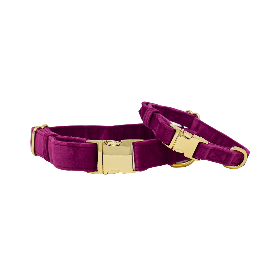 August – Velvet Dog Collar, Adjustable XS–L