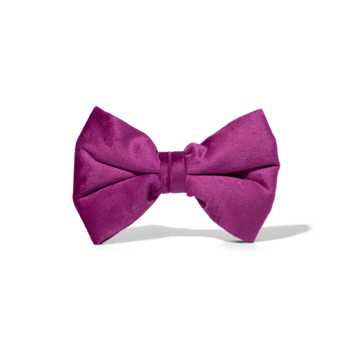 August – Purple Dog Bow Tie for Any Collar, S & L