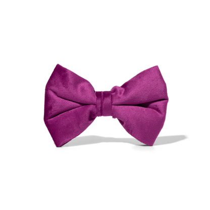 August – Purple Dog Bow Tie for Any Collar, S & L