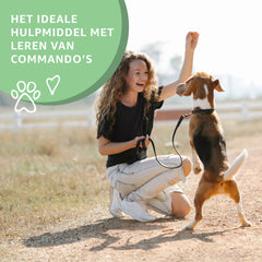 Paarden Trainers