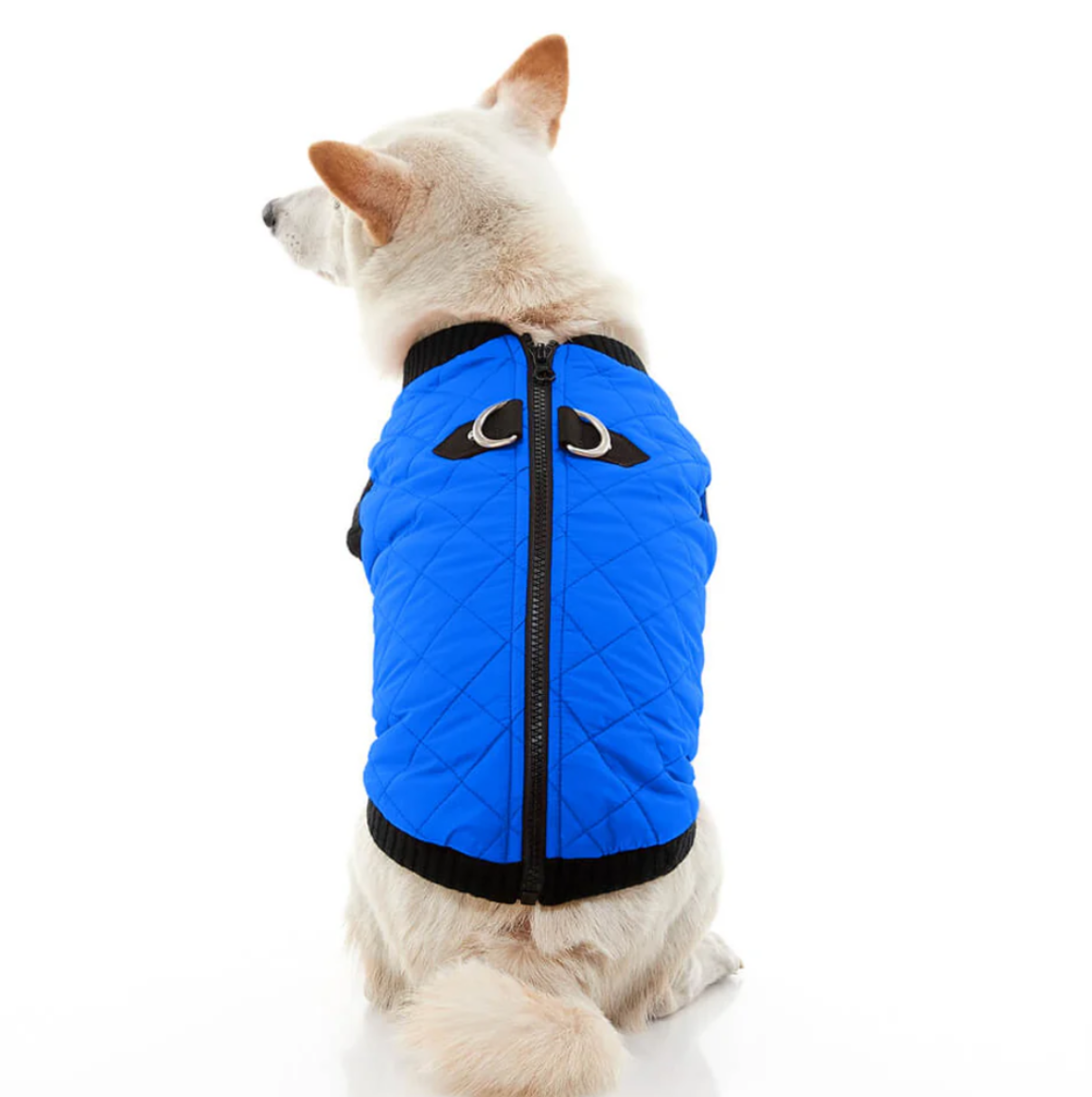 Blue quilted step-in bomber vest for dogs - view 5