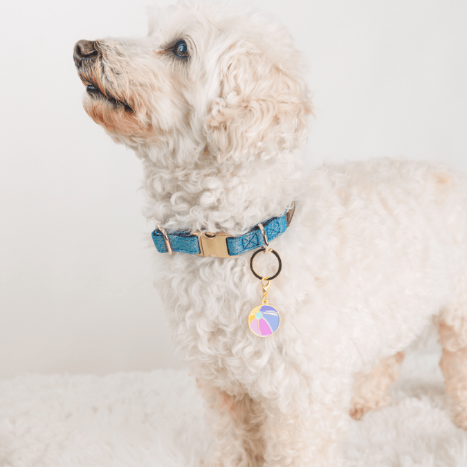 Beach Ball Dog Collar Charm — additional photo 2