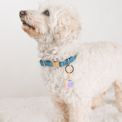 Beach Ball Dog Collar Charm — additional photo 2