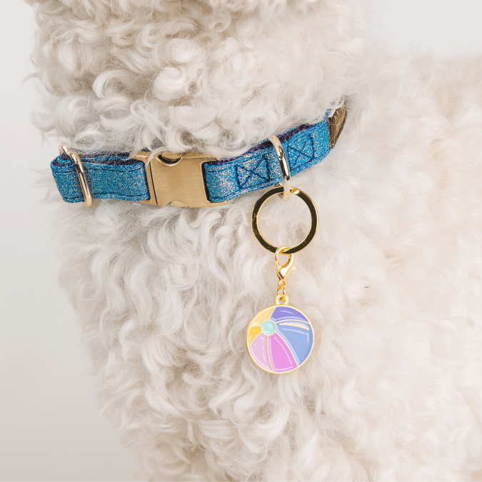 Beach Ball Dog Collar Charm — additional photo 3