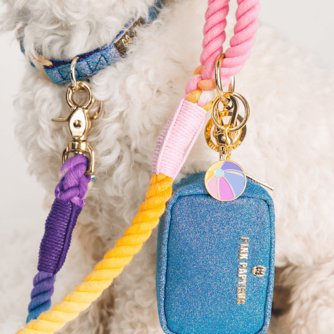Beach Ball Dog Collar Charm — additional photo 4