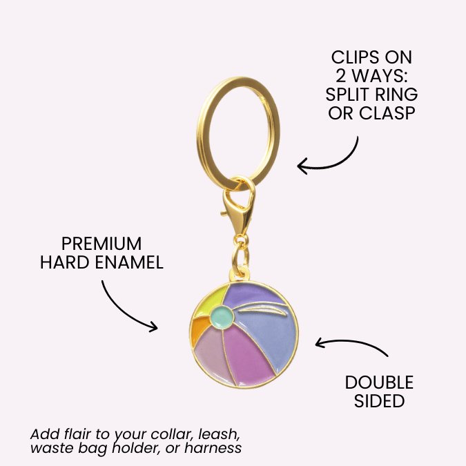 Beach Ball Dog Collar Charm — additional photo 5