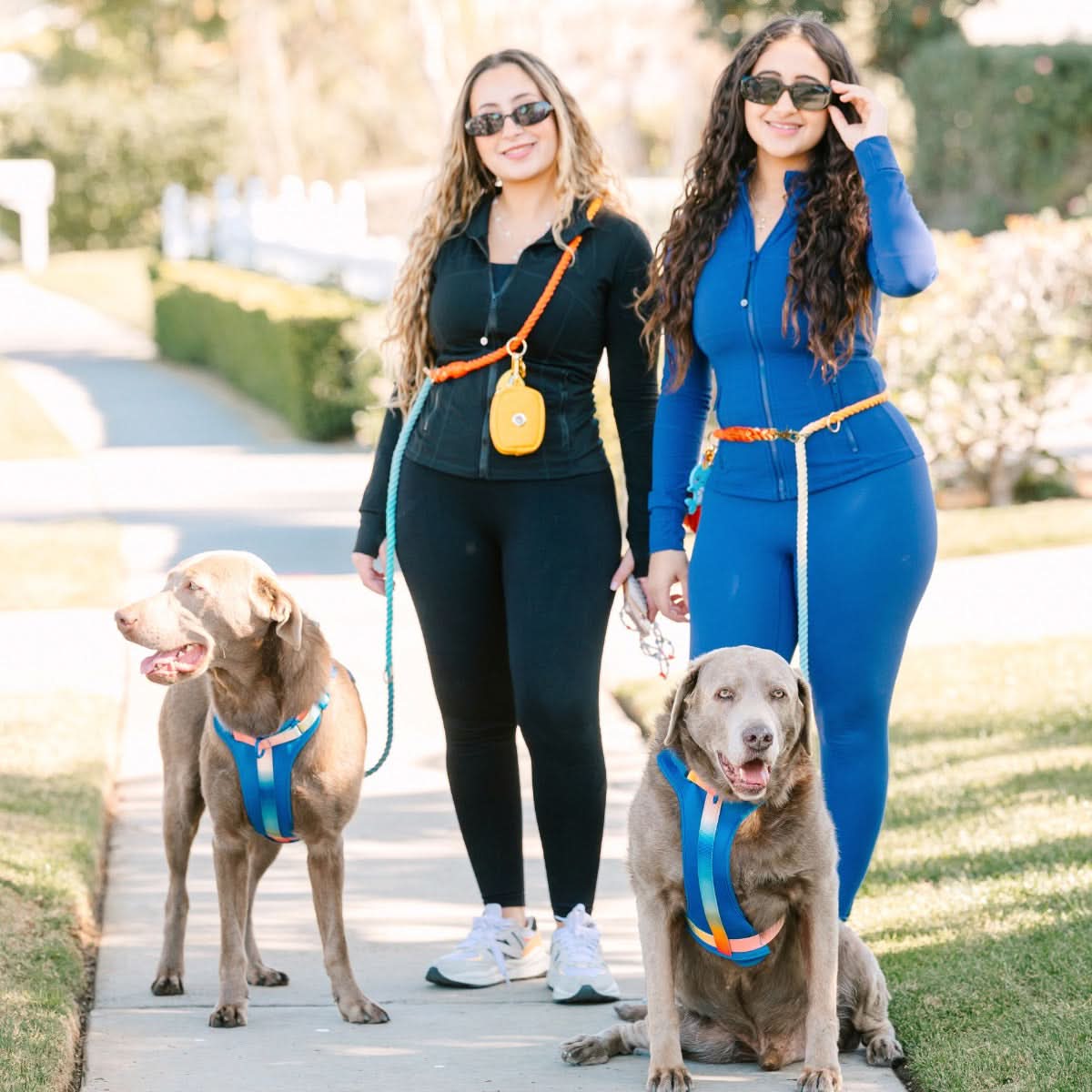 Beau hands-free dog leash — additional photo 12