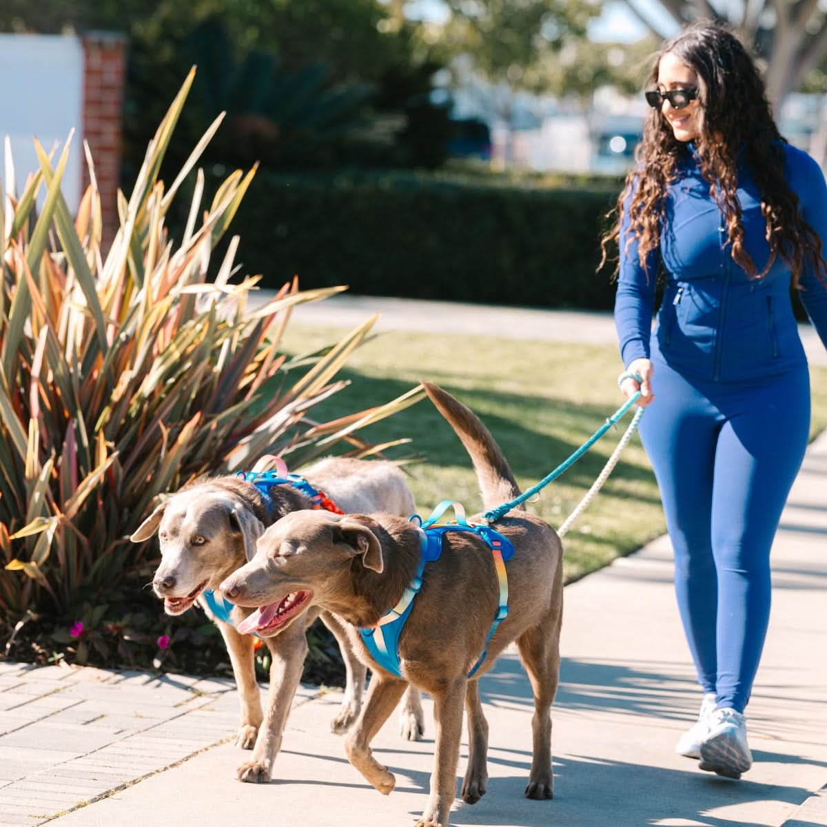 Beau hands-free dog leash — additional photo 7