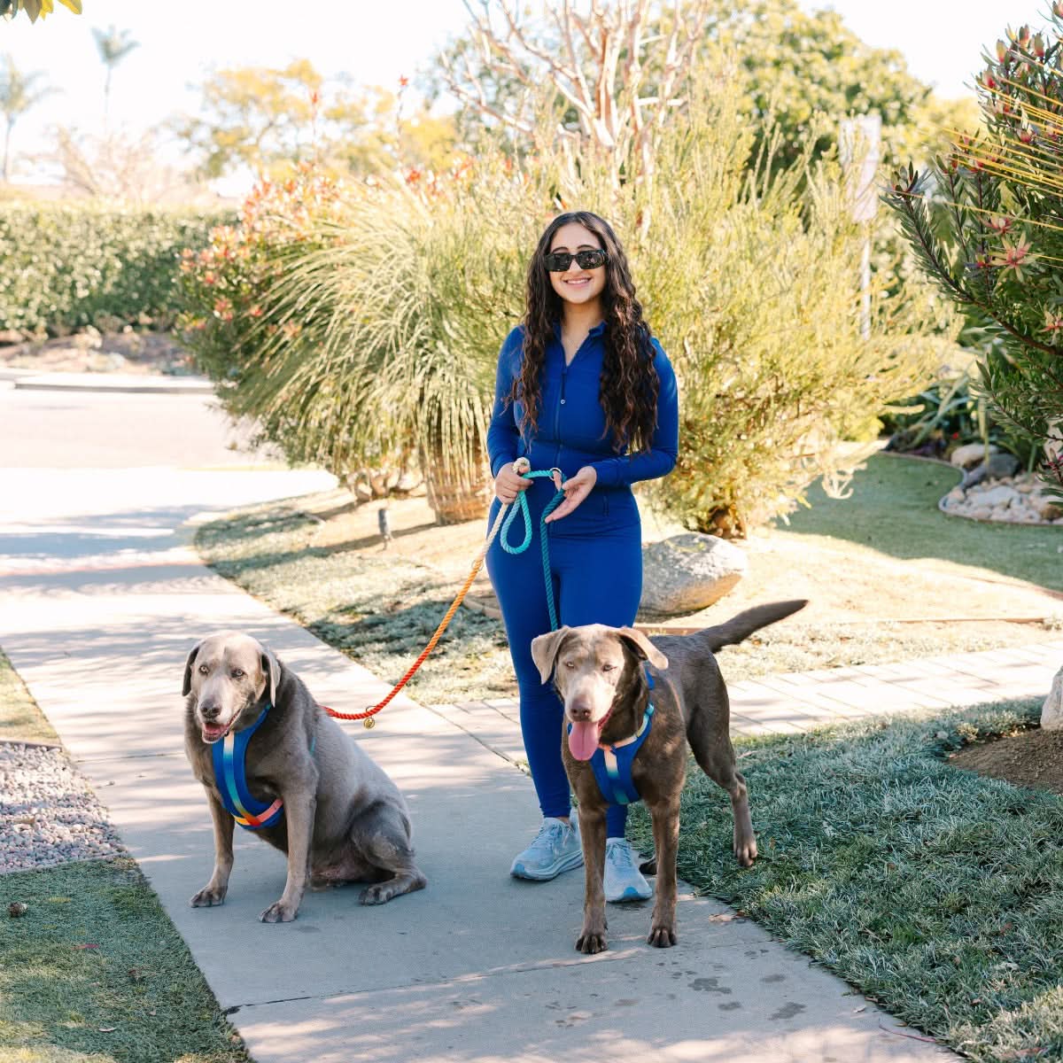 Beau hands-free dog leash — additional photo 8