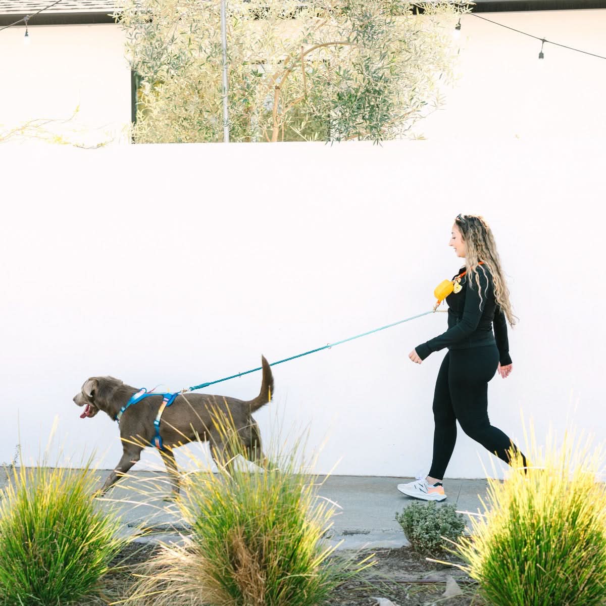 Beau hands-free dog leash — additional photo 13